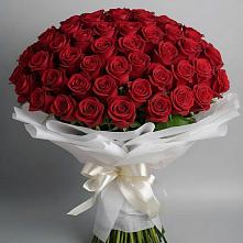 Букет 101 Красная роза Блэк Мэджик в Центральный Тульская область
