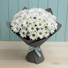 Букет цветов из:  Хризантемы в Центральный Тульская область