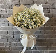 Букет цветов из:  Ромашки #REPLACE_PRED# Центральный Тульская область