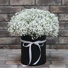 Цветочная композиция из Гипсофила в шляпной коробке в Центральный Тульская область