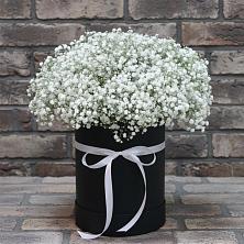 Цветочная композиция из Гипсофила в шляпной коробке в Центральный Тульская область