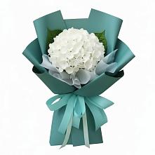Букет цветов из:  Гортензия #REPLACE_PRED# Центральный Тульская область